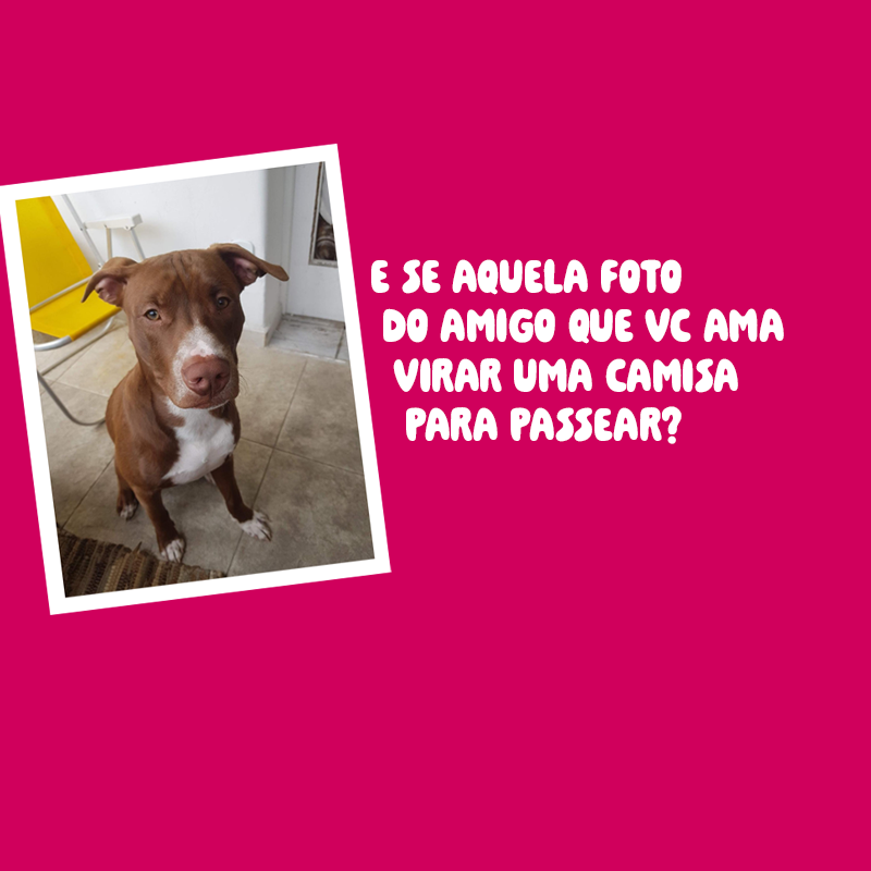 Print the Pet — transforme a foto do seu pet em uma camisa personalizada